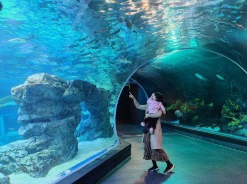 아쿠아리움 사진