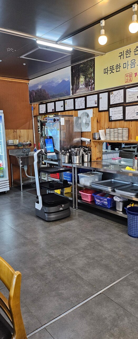 생방송투데이 떴다! 동네방네 가평 닭갈비 맛집 아침고요장작구이, 자라섬 꽃 페스타 & 가평 여행 코스 정리 생방송투데이 3777회