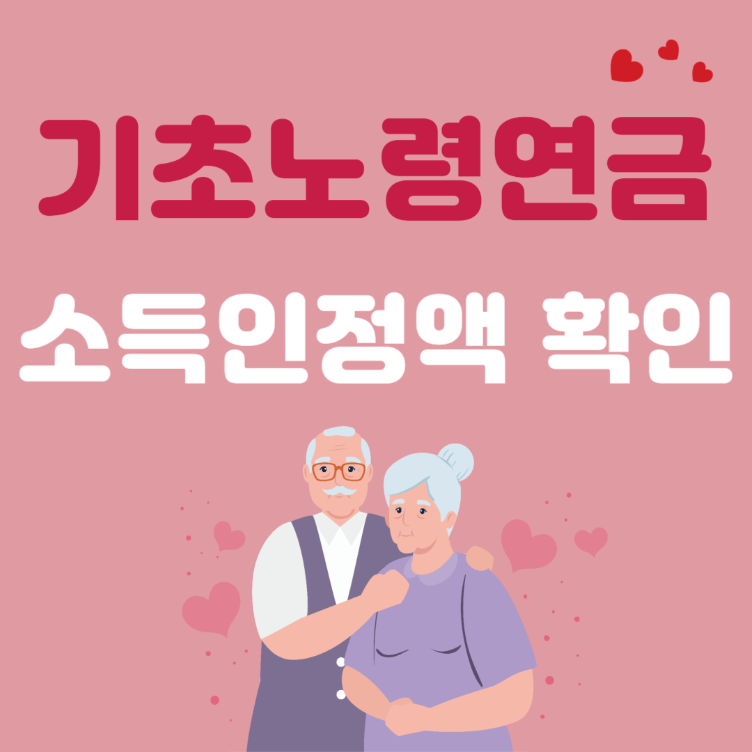 기초노령연금 소득인정액 확인