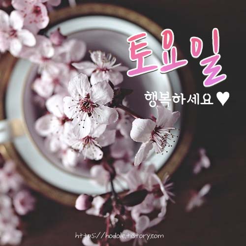 편안한-주말-인사