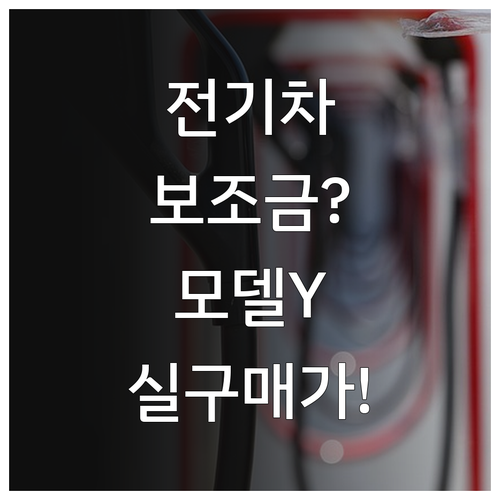 전기차 보조금 받으면 모델Y 롱레인지..