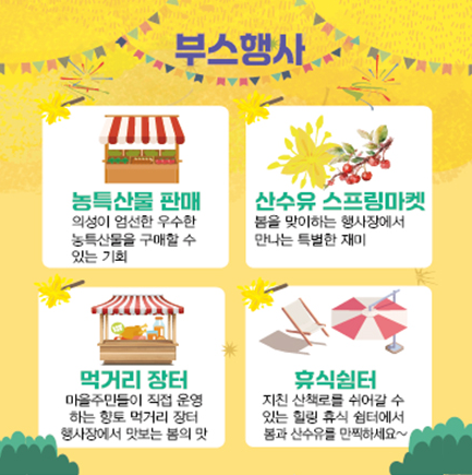 대구 근교나들이: 의성 산수유 축제