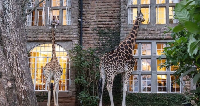 기린호텔-숙박비