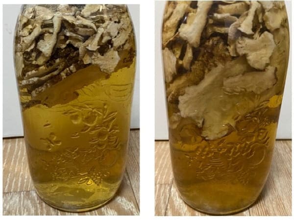 당귀초란만들기-당귀식초1일차