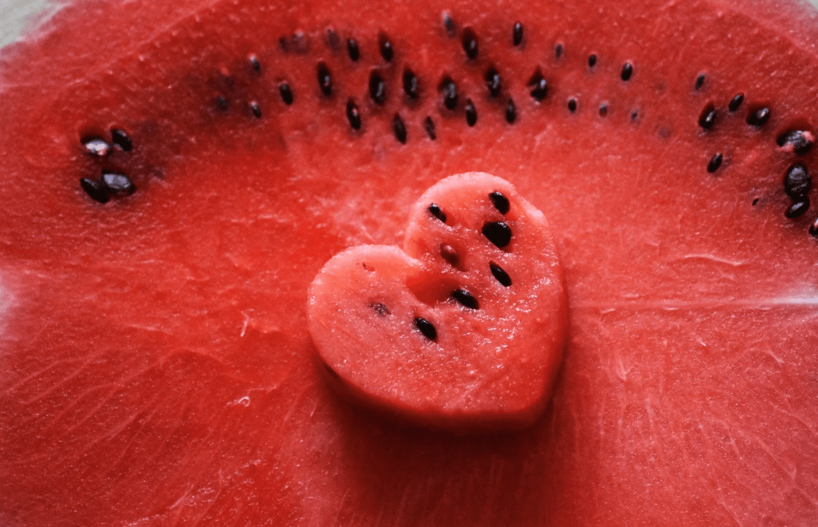 하트 모양 수박