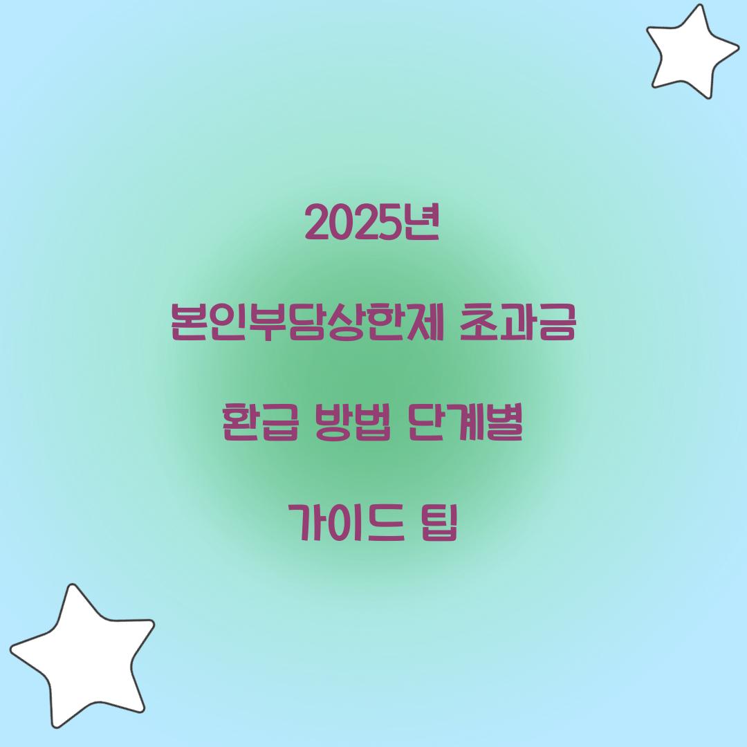 2025년 본인부담상한제 초과금 환급