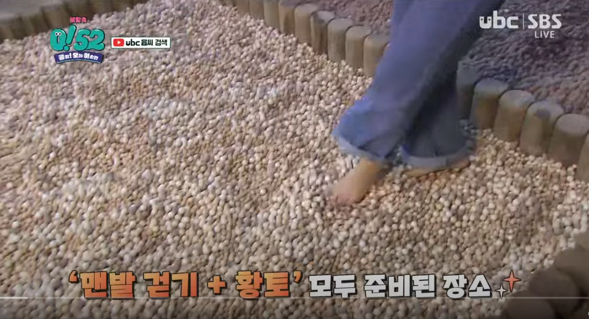 공감! 오늘 이순간 (생생한 현장 연결)