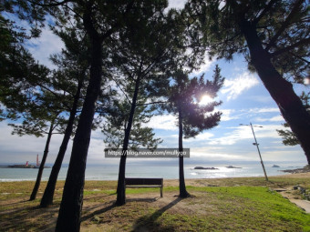 고성 봉수대 오토캠핑장