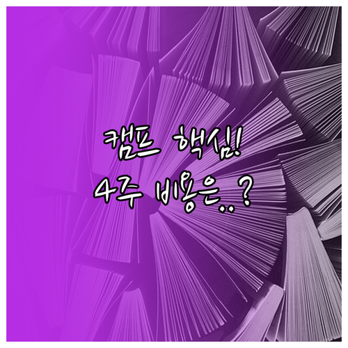 영어캠프 유형(스쿨링/몰입)별 장단점..