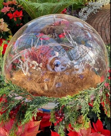 세종 국립 수목원