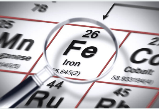 빈혈에 좋은 음식