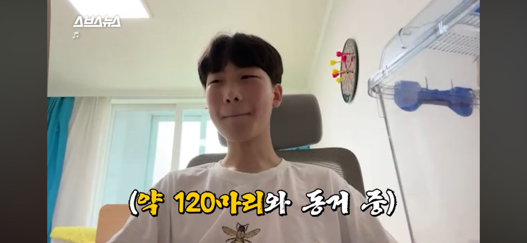 이지섭 김좀말벌