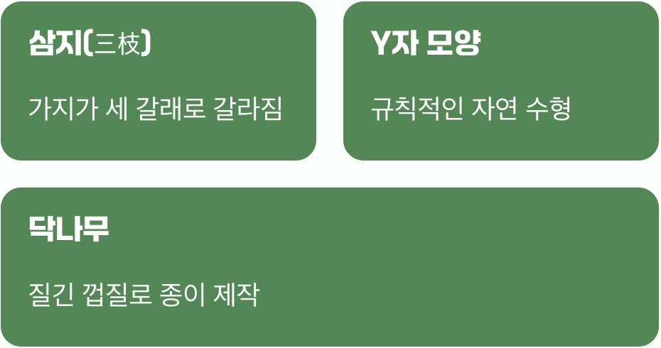 비결 1. 이름 속에 숨겨진 비밀