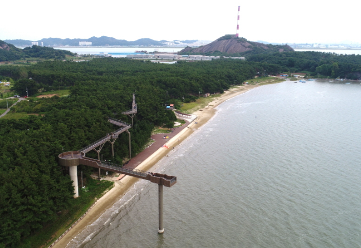 장항송림산림욕장과 스카이워크