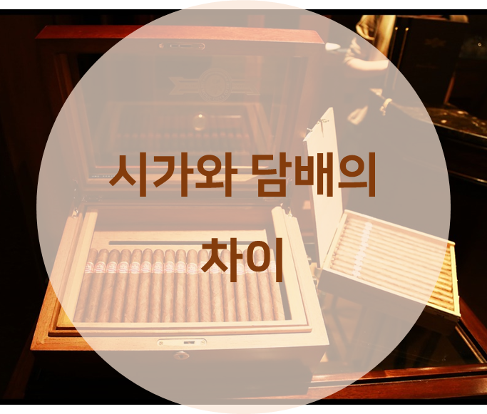 시가와 일반 담배가 다른 점