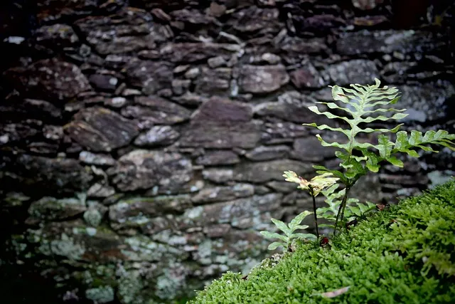 위도 경도 위치찾기 검색 사용법_6