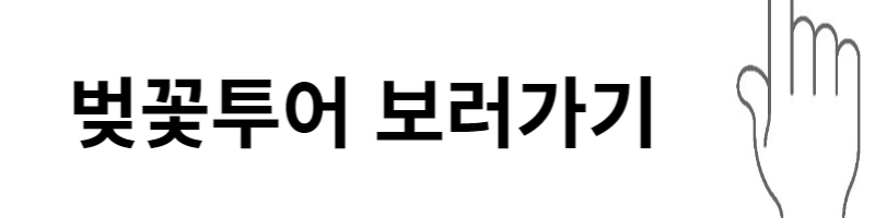 군항제