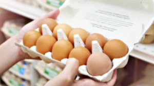 계란 효능은?