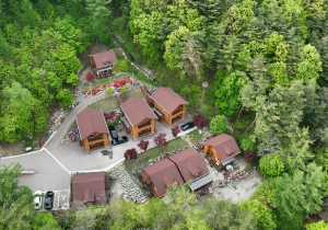 자연휴양림 BEST 5 2023년 신축