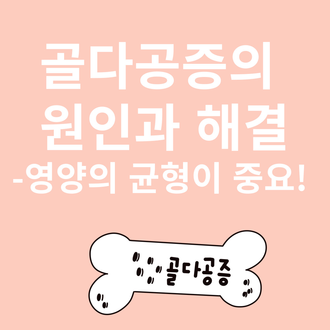 골다공증과 관련된 이미지