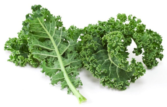 케일효능 및 먹는법 / 보관법(냉장&#44; 냉동)