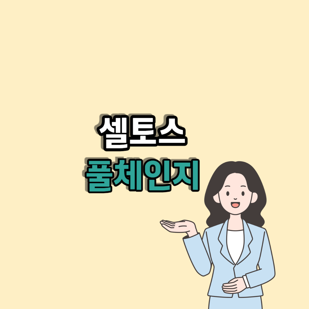 셀토스 풀체인지