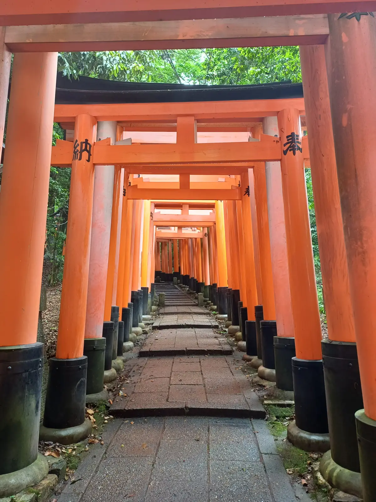 산정상쪽-붉은도리이