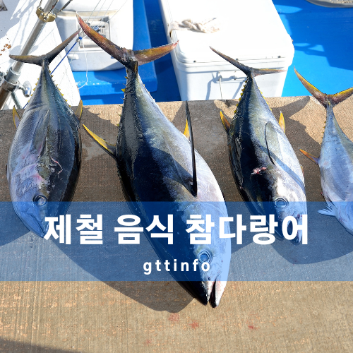 참다랑어의 효능