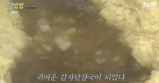 콩콩밥밥