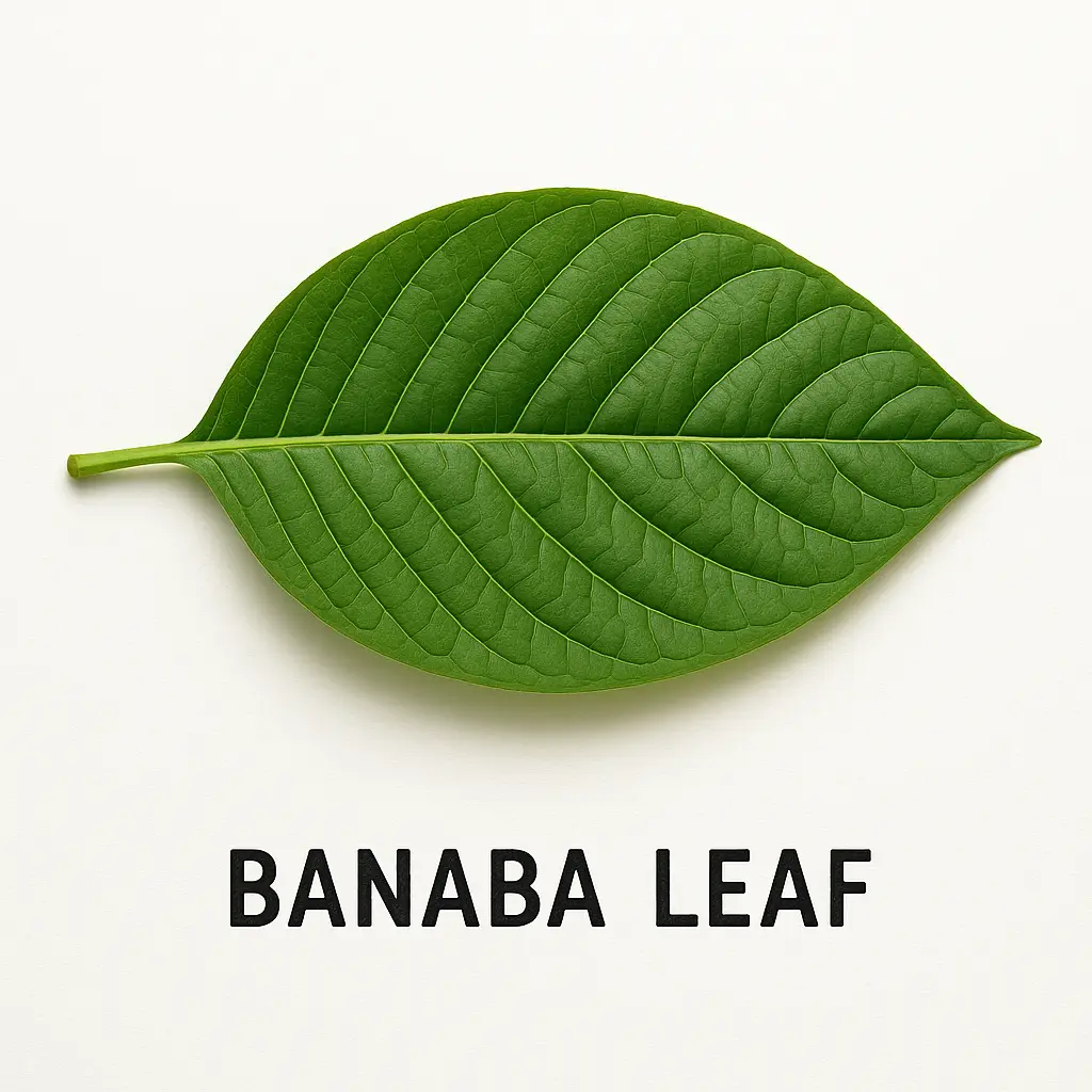 바나바잎 추출물: 혈당 관리 및 당뇨병 조절을 위한 과학적 증거