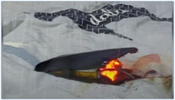 보조 배터리 폭발