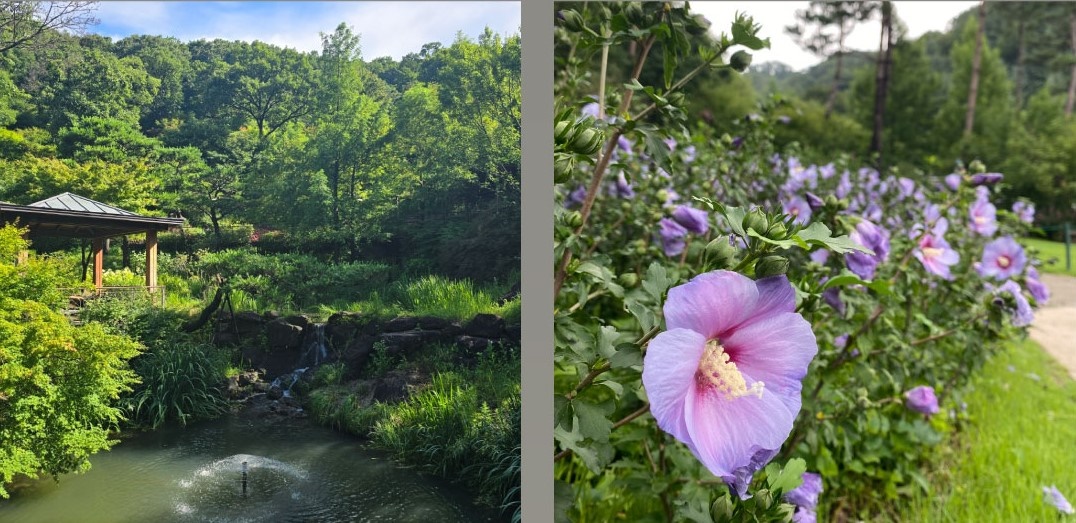 화담숲 예약하기 및 이용방법(가는길 안내)