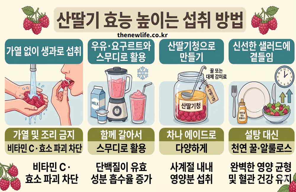 산딸기 효능 높이는 섭취 방법