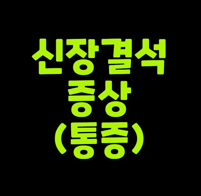 신장결석 증상(통증)
