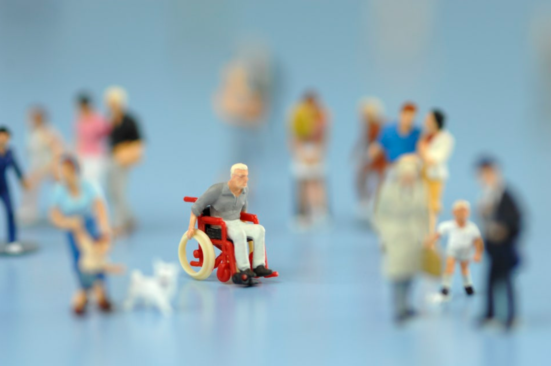 장애인활동 지원