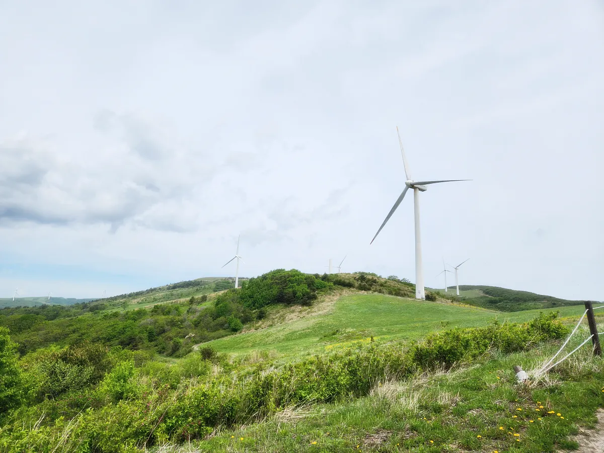 평창-하늘목장-풍력발전기