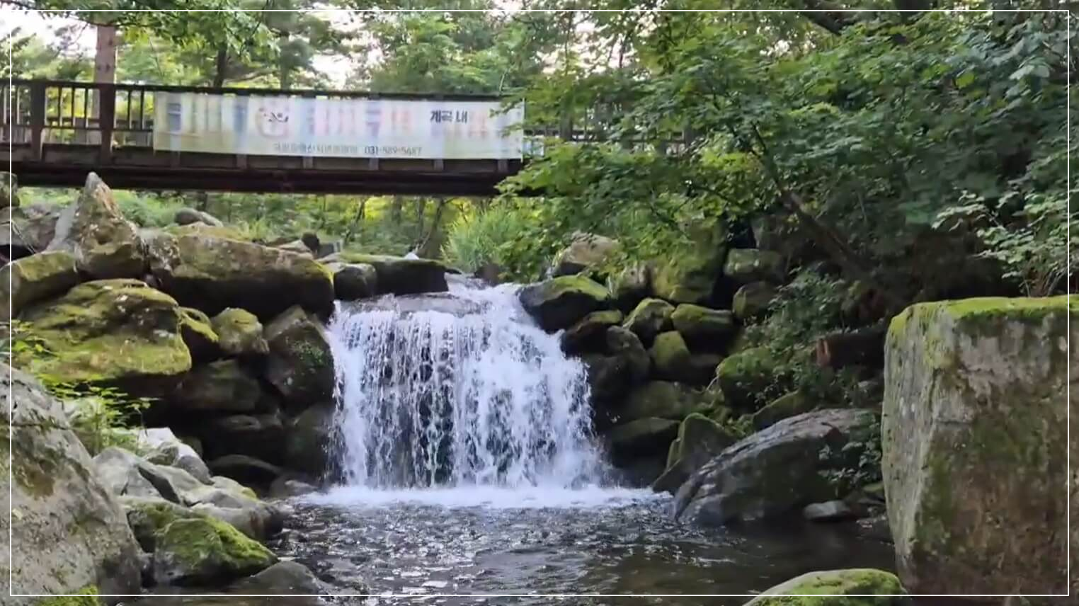 가평 가볼만한곳 베스트10 국립 유명산 자연휴양림