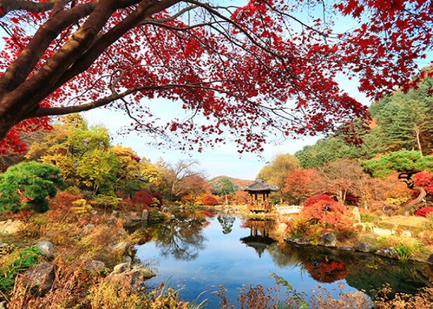 가을 단풍 명소 추천
