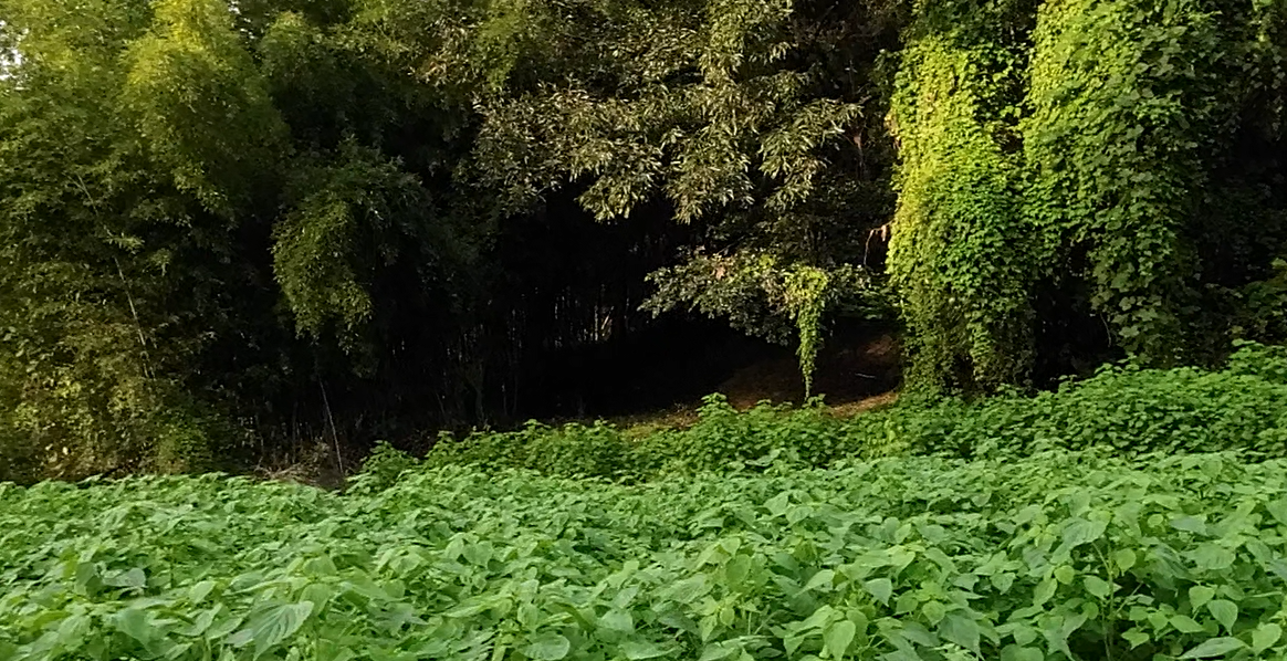 Alt 속성 문제 해결 설명 이미지