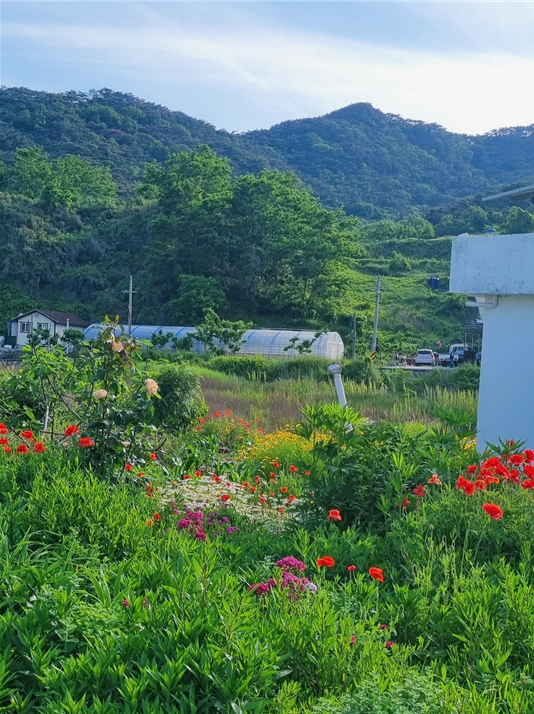 덕적도-백패킹-풍경