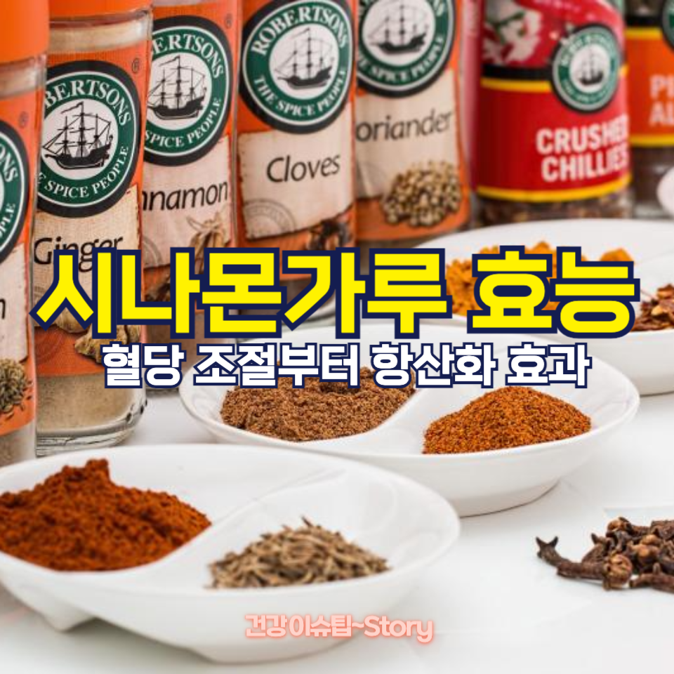 시나몬가루 효능