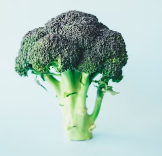 마그네슘 하루 권장량 성인 섭취량 부작용