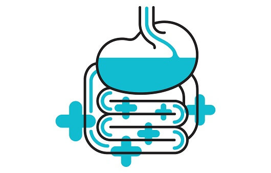 유산균 먹는 시간 추천