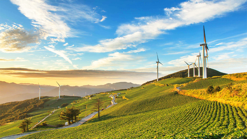 배추밭에 풍력발전