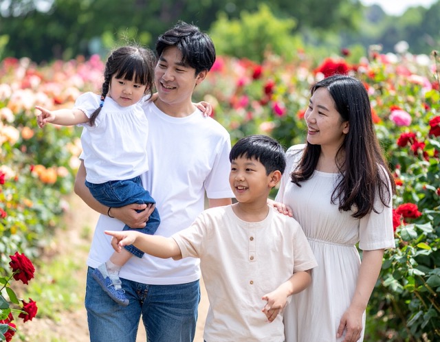 체험 프로그램과 특별 이벤트