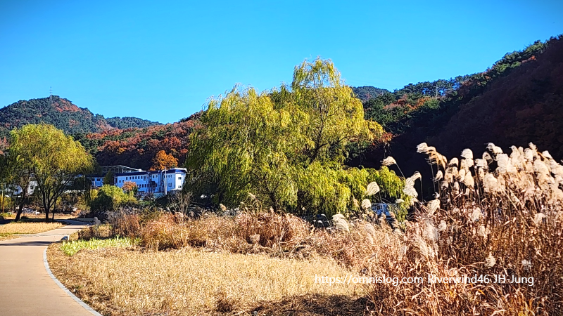 부산의 늦가을 풍경