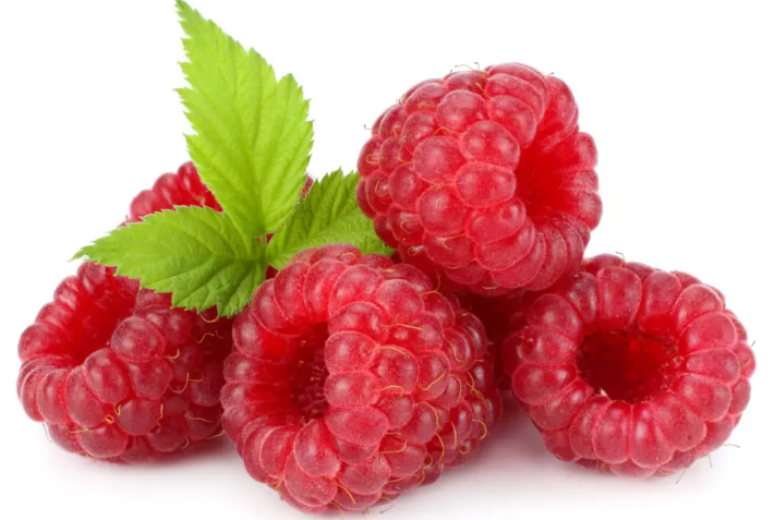 라즈베리의 영양과 효과 효능, 조리법, 보존법