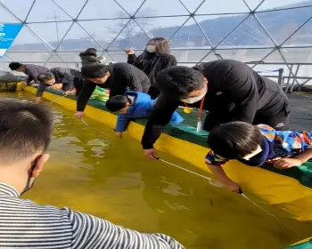 양평 빙송어축제_23