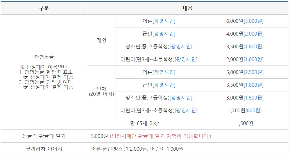 광명동굴 입장권