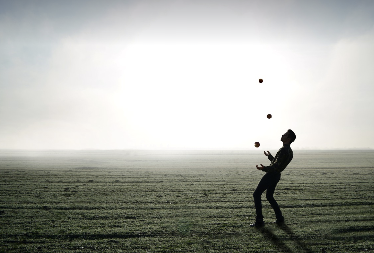 대학생이 꼭 알아야하는 최신 꿀팁 사진